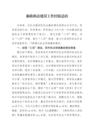 廉政执法建设工作经验总结