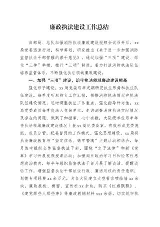 廉政执法建设工作总结