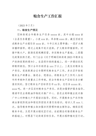 粮食生产工作汇报