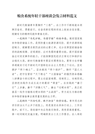 粮食系统年轻干部座谈会发言材料粮储青年