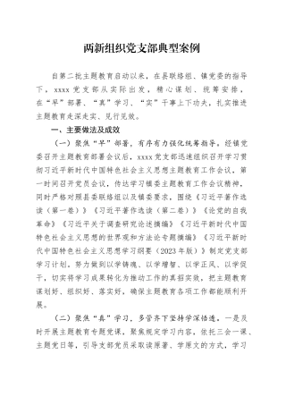 两新组织党支部典型案例