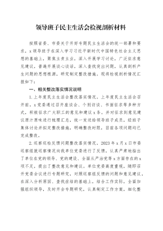 领导班子民主生活会检视剖析材料