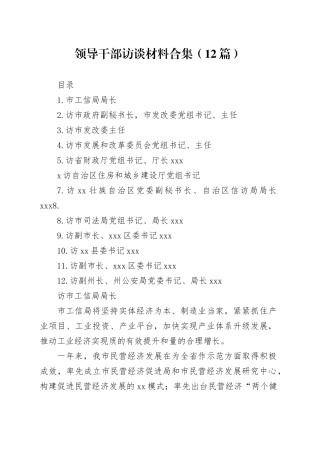 领导干部访谈材料合集（12篇）