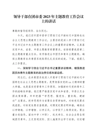 领导干部在团市委2023年主题教育工作会议上的讲话