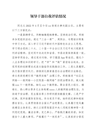 领导干部自我评估情况（2）