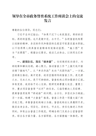 领导在全市政务督查系统工作座谈会上的交流发言