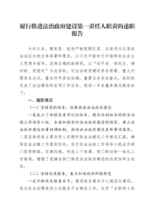履行推进法治建设第一责任人职责的述职报告