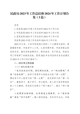 民政局2023年工作总结和2024年工作计划合集（3篇）