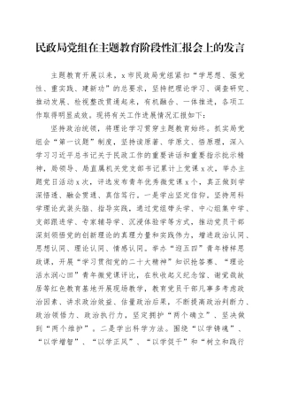 民政局党组在主题教育阶段性汇报会上的发言