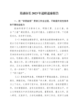 某副市长2023年述职述廉报告