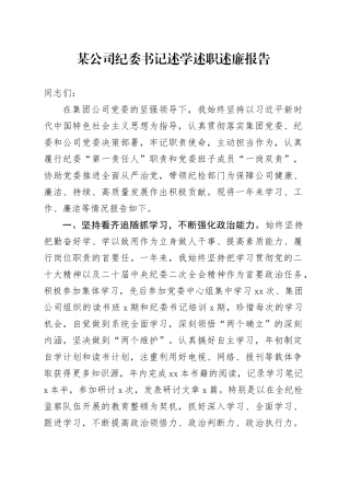 某公司纪委书记述学述职述廉报告