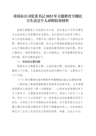 某国企公司党委书记2023年主题教育专题民主生活会个人对照检查材料