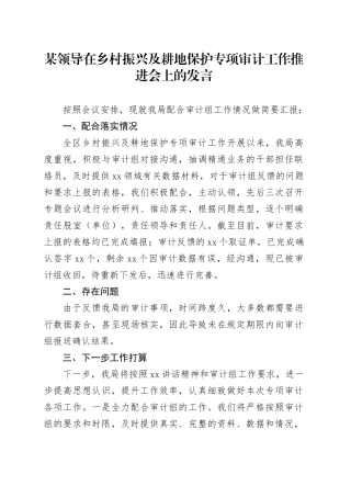 某领导在乡村振兴及耕地保护专项审计工作推进会上的发言