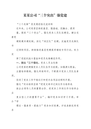 某某公司“三个突出”强党建“三个先锋”促发展经验交流材料