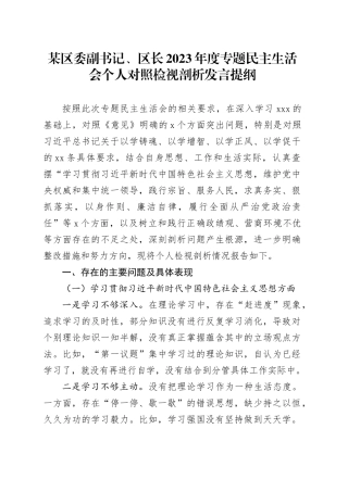 某区委副书记、区长2023年度专题民主生活会个人对照检视剖析发言提纲