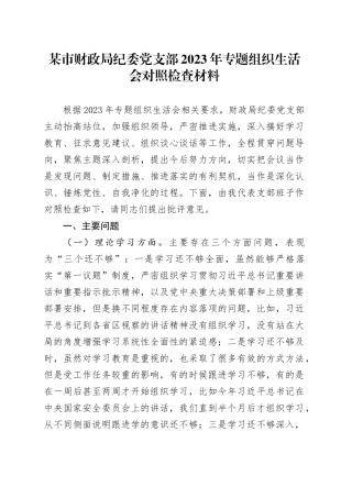 某市财政局纪委党支部2023年专题组织生活会对照检查材料