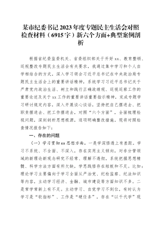某市纪委书记2023年度专题民主生活会对照检查材料（践行宗旨等6个方面+典型案例剖析