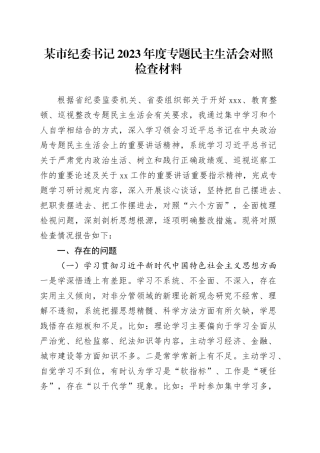 某市纪委书记2023年度专题民主生活会对照检查材料（新6个对照方面＋典型案例剖析）