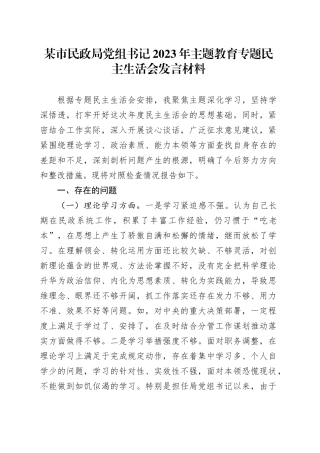 某市民政局党组书记2023年主题教育专题民主生活会发言材料