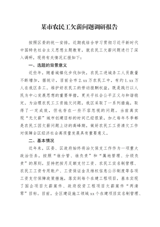 某市农民工欠薪问题调研报告