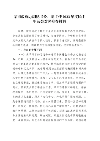 某市政府办副秘书长、副主任2023年度民主生活会对照检查材料（第二批、新六个方面）