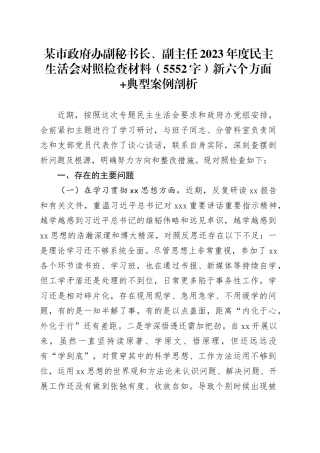 某市政府办副秘书长、副主任2023年度民主生活会对照检查材料（践行宗旨等6个方面+典型案例剖析
