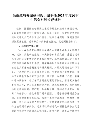 某市政府办副秘书长、副主任2023年度民主生活会对照检查材料