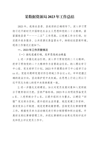 某数据资源局2023年工作总结