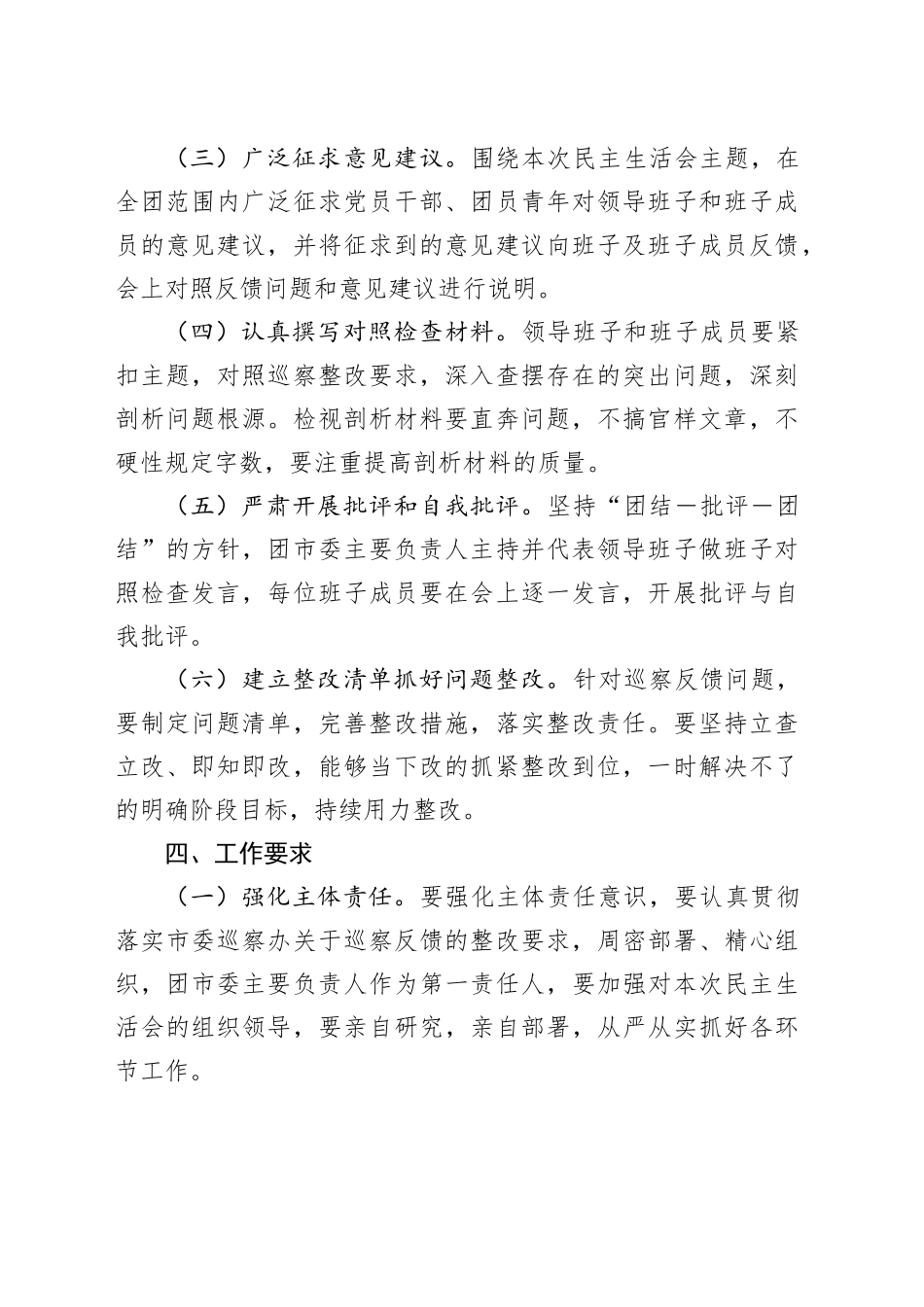 某团市委巡察整改专题民主生活会会议方案_第2页