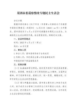 某团市委巡察整改专题民主生活会会议方案