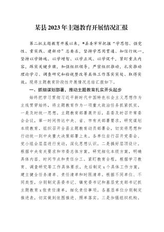 某县2023年主题教育开展情况汇报
