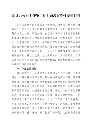 某县办公室主任第二批主题教育党性剖析材料