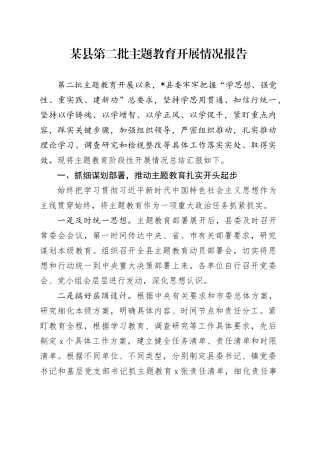 某县第二批主题教育开展情况报告