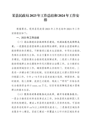 某县民政局2023年工作总结和2024年工作安排