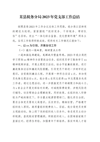 某县税务分局2023年党支部工作总结
