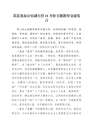 某县委办公室副主任11月份主题教育交流发言