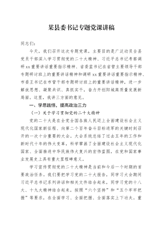 某县委书记专题党课讲稿