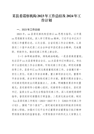 某县委巡察机构2023年工作总结及2024年工作计划