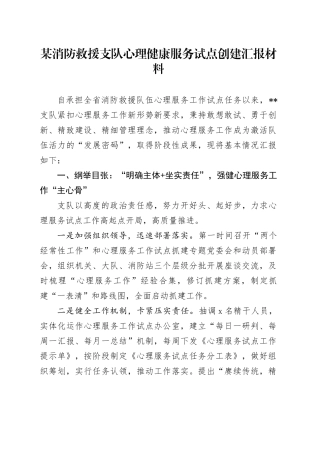 某消防救援支队心理健康服务试点创建汇报材料