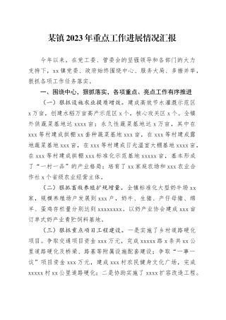 某镇2023年重点工作进展情况汇报