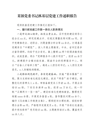 某镇党委书记抓基层党建工作述职报告 （2）