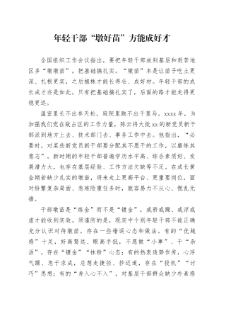 年轻干部“墩好苗”方能成好才