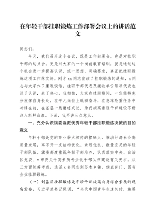 年轻干部挂职锻炼工作部署会议讲话青年231215