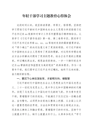 年轻干部学习主题教育心得体会