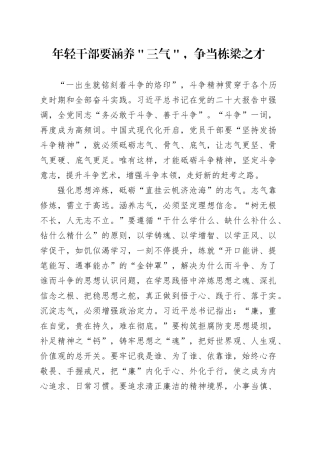 年轻干部要涵养＂三气＂，争当栋梁之才