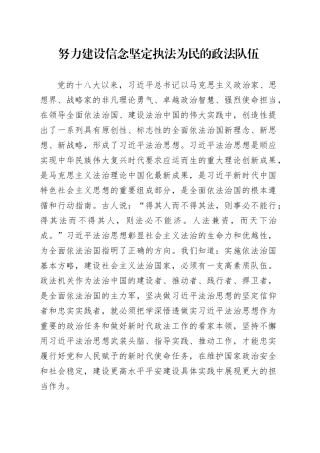 努力建设信念坚定执法为民的政法队伍