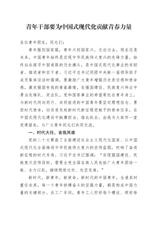 青年干部要为中国式现代化贡献青春力量
