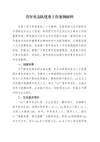 青年突击队优秀工作案例材料