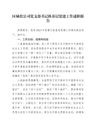 区城投公司党支部书记抓基层党建工作述职报告