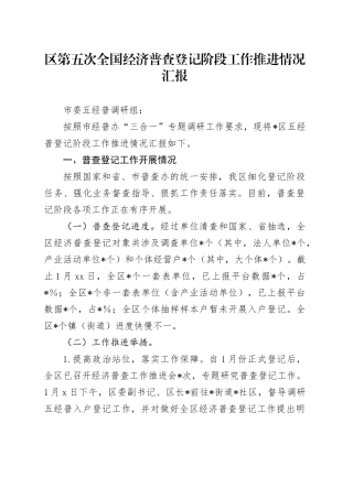 区第五次全国经济普查登记阶段工作推进情况汇报